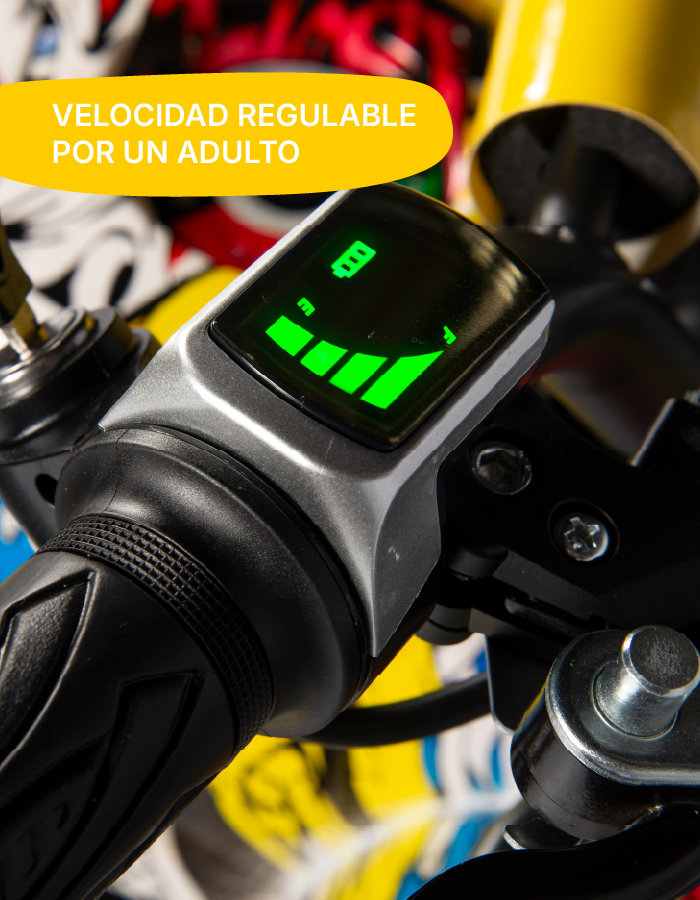 PRODUCTO ESPECIFICACIONES_ATV 800 Q_TRIADA4