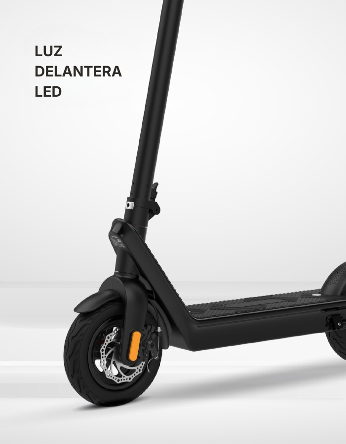 Texto (701 x 900 px)