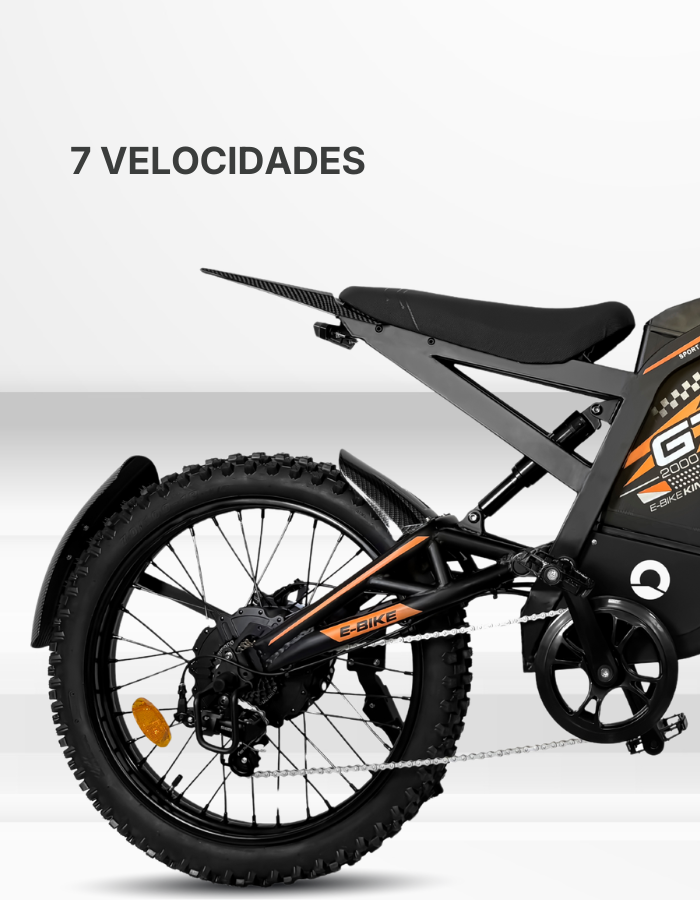 PRODUCTO ESPECIFICACIONES_GT2000_TRIADA2