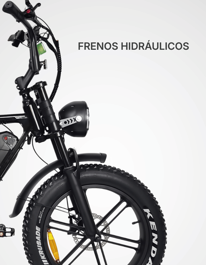 PRODUCTO ESPECIFICACIONES_V8MAX_TRIADA1
