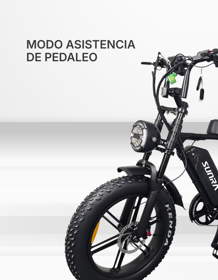 PRODUCTO ESPECIFICACIONES_V8_TRIADA3